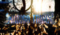 INDIGO TRIBE