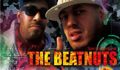 SOUND PARK TOKYO & P.G pro Presents The beatNuts Japan tour2010