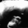 Typingmonkeys