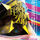 THE STAR FESTIVAL 2010 SUMMER WORLD OF DANCE MUSIC FESTIVAL!