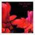 POP AMBIENT 2010
