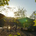 Rechenzentrum / Funkparkが再オープン不可能に